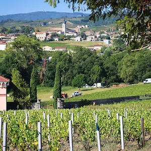 https://magnifique-villa-lintrieur-dun-clos.hotels-rhonealpes.com